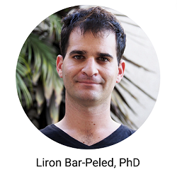 Lion Bar-Peled